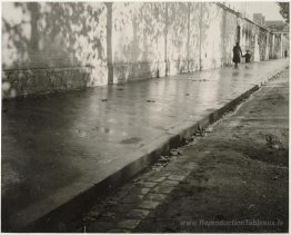 Après la pluie
