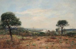 Un paysage