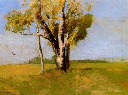 Des arbres