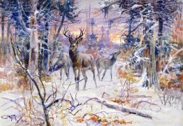 Cerf dans une forêt enneigée