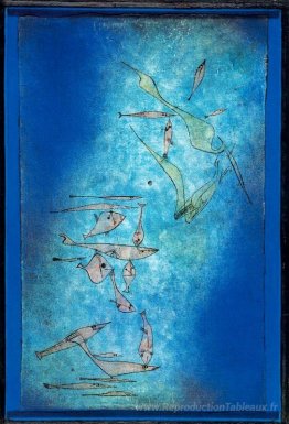 Image de poisson