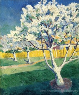 Pommier en fleur