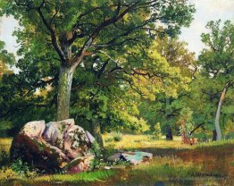 Journée ensoleillée dans les bois. Chêne