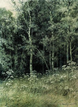 Fleurs dans la forêt