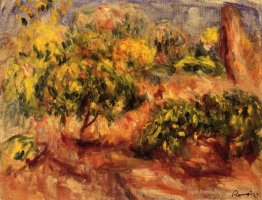 Paysage de Cagnes