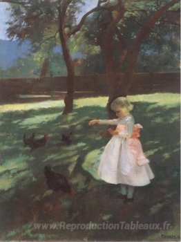 Nourrir les poulets