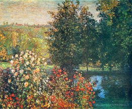 Roses dans le jardin d'Hoshede à Montregon