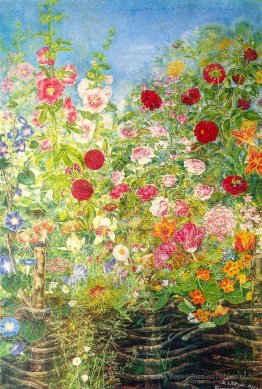 Fleurs par la clôture