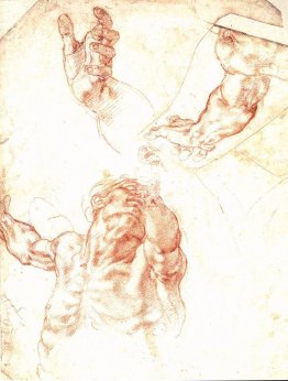 L'étude d'Adam