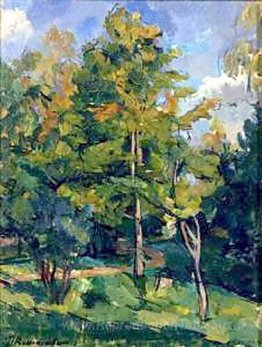 Maples jaunissant