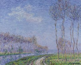 Arbres au bord de la rivière