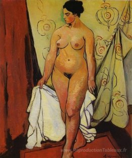 Femme nue avec draperie