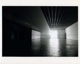 Scrim Veil / Black Rectangle / Natural Light (Whitney Museum of
