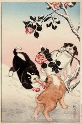 Camellia et chiots dans la neige