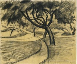 Arbres et champs