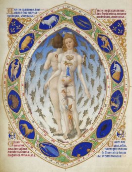 L'anatomie de l'homme