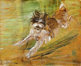 Chien sauter schlick