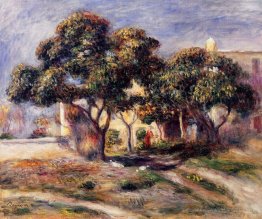 Arbres medlar, cagnes