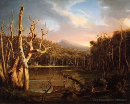 Lac avec des arbres morts (Catskill)