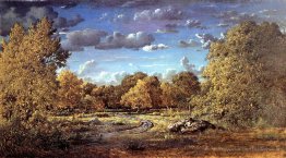 Glade de la Reine Blanche dans la forêt de Fontainebleau