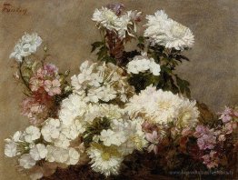 Chrysanthemum d'été blanc et landspur