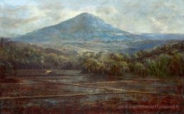 Paysage indonésien