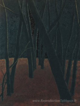 Une forêt