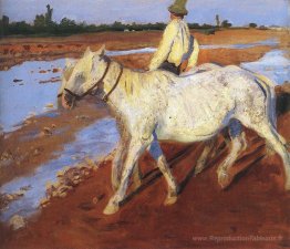 Les chevaux