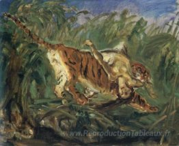 Tigre dans la jungle