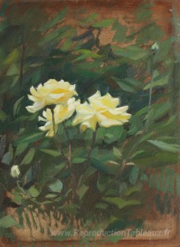 Roses sauvages
