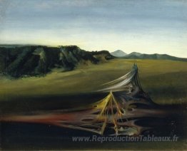 Paysage biologique