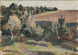 Paysage contre le soleil