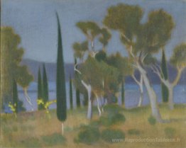 Paysage