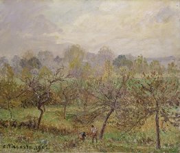 Automne, brume du matin, éragny-sur-epte