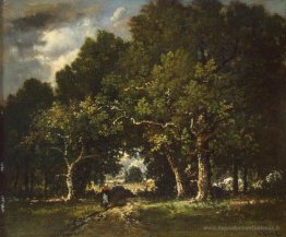 Route dans le bois