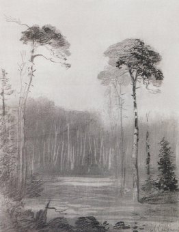Paysage