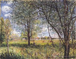 Saules dans un après-midi
