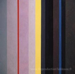 Organisation dichotomique: rayures