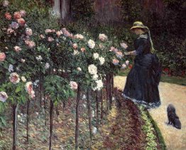Roses dans le jardin de Petit Gennevilliers