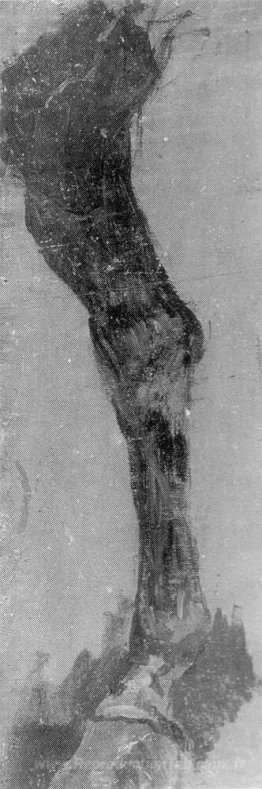 Étude de la jambe d'un cheval pour le Fairman Rogers quatre à la
