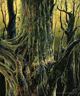 Arbre ancien