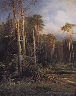 La route dans les bois