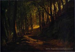 Oak Grove à San Terenzo