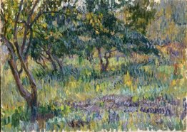 Belkino. Jardin.