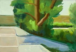 Rue Présidio