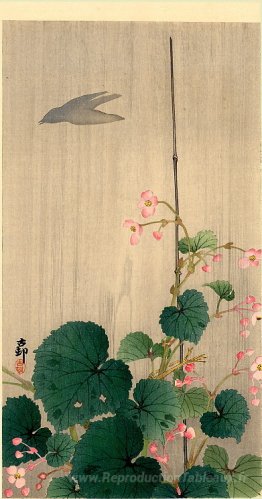 Oiseau et bégonias
