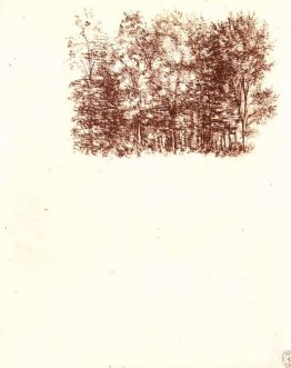 Fosse de bouleau
