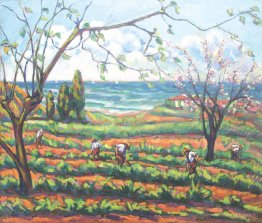 Travail sur le terrain (paysage de Grimaud)