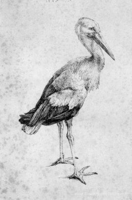 Cigogne