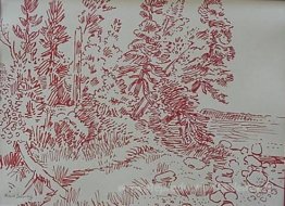 Treat des arbres à l'eau